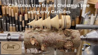 Woodturning a Christmas Tree from a Christmas Tree using my Carbides [upl. by Madanhoj]