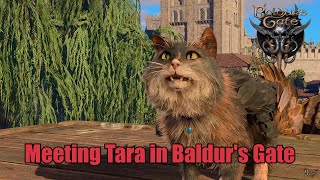 Baldurs Gate 3  Trading with Tara the Tressym [upl. by Itch]