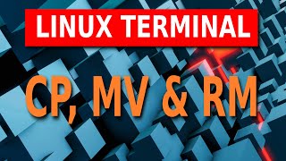 Linux Terminal Befehle  04  CP MV amp RM [upl. by Llednov]