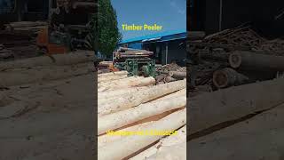 Precise debarking wood grain presentation Wood debarker operation demonstration 🌲🔧 woodworking [upl. by Novyart]