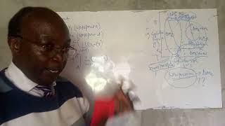 Lecture 48 Compressors and compression work [upl. by Alfred]