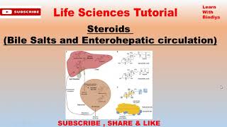 Bile salts and Enterohepatic Circulation  Steroids  Important Topic for all PGUG Classes [upl. by Josy]