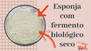 COMO FAZER ESPONJA COM FERMENTO BIOLÓGICO SECO [upl. by Ramonda]