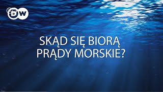 Teraz wiesz skąd się biorą prądy morskie [upl. by Kinsler126]