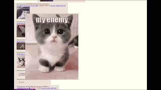 Oh the misery 4chan cat thread [upl. by Aerdna]