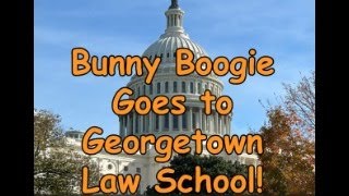 Bunny Boogie goes to Georgetown Law School [upl. by Notxed]