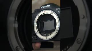 Can the Canon R7 Substitute a Full Frame Camera [upl. by Fayth]