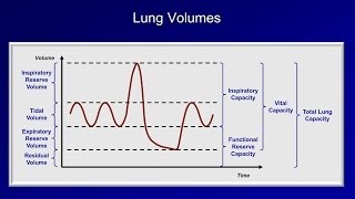 Pulmonary Function Tests PFT Lesson 1  An Introduction [upl. by Hilda5]