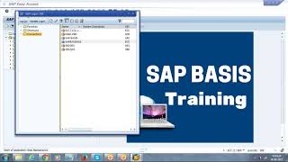 SAP security Certification Course with Implementation Project TOPICSU02SU03SU21PFCGSU24SU22 [upl. by Derfliw]