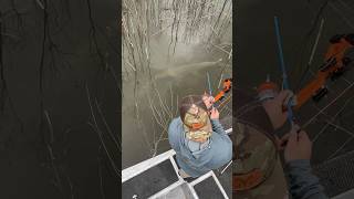 Huge Fish Everywhere bowfishing fishing hunting [upl. by Sikras]