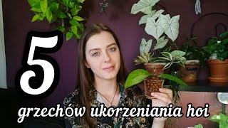 🌿 5 błędów które popełniasz przy ukorzenianiu hoi 🌱 I jak robić to efektywnie 💚 [upl. by Aidnyl]