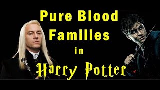 Pure Blood Families in Harry Potter series Jadugari Dunia ke Shuddh Khoon Pariwar [upl. by Ennaira]