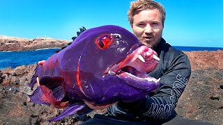 Most Unbelievable Fish Catches [upl. by Negem]