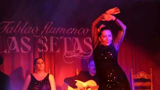 Tablao Flamenco Las Setas en Sevilla [upl. by Ahsircal712]