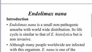 شرح المحاضرة الخامسة لمادة الطفيليات endolimax nana and iodamoeba butschlii [upl. by Fortin]