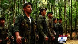 Disidencia de las Farc dice que aún no liberará a funcionario de la ONU [upl. by Esac691]