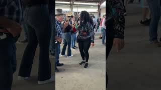 baile diversion music texas viral reels trending fyp followers video [upl. by Licha818]