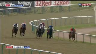 Racehorse shows incredible burst of speed [upl. by Femmine]