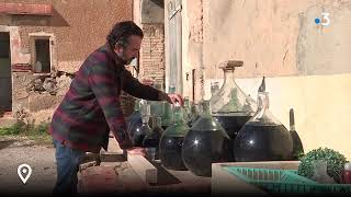 Aquí Sem  A Rivesaltes portrait dun vigneron au naturel [upl. by Ardnad]