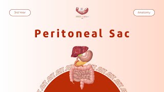 Peritoneal Sac  Anatomy [upl. by Reagen]