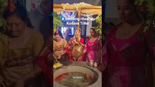 Kodava wedding Rituals  Valaga  Kodava Mangala shorts shortvideo coorg dance [upl. by Jena17]