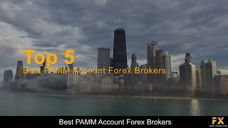 Best PAMM Account Forex Brokers📈 [upl. by Nylrak]