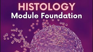 Epithelium 1  Foundation  Dr Nada [upl. by Walworth]