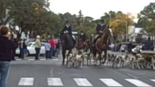 Geneseo NY Fox Hunt [upl. by Sommer283]