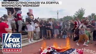 ProHamas protesters rage in DC burn American flag [upl. by Florry]