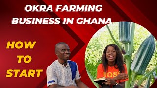 Introduction to okra farming in Ghana from scratch how to invest and make profit from okra farming [upl. by Tybi911]