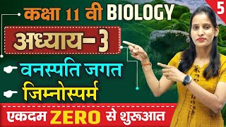 जिम्नोस्पर्म Gymnosperms  vanaspati jagat  वनस्पति जगत class 11  11 biology chapter 3 in hindi [upl. by Anitsirc]