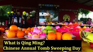 What is Qing Ming  Chinese Tomb Sweeping Day  A Documentary VLOG by Wan Hoe [upl. by Coffee]