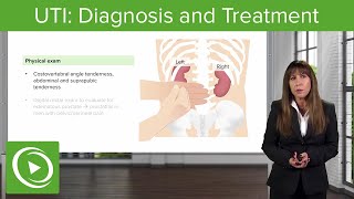 UTI Diagnosis and Treatment – Nephrology  Lecturio [upl. by Merta]