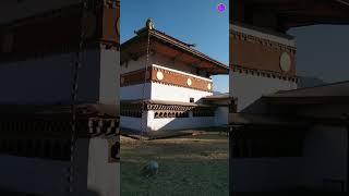 Chimi Lhakhang in Bhutan [upl. by Anabelle]