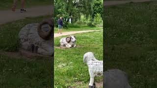 Le VerVert  Un Parcours Écologique au Fil de lEau à Nevers [upl. by Dyana836]