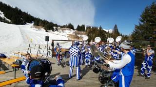 Blächchutzeler Küssnacht am Rigi [upl. by Skoorb]