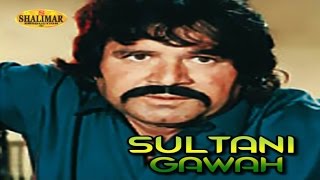 New Movie  Badar Munir Asif Khan  Sultani Gawah  Pashto Movie [upl. by Mobley61]