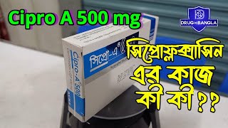 Cipro A 500 tablet  ciprocin 500 কি কাজ করে  ciprofloxacin 500mg  drug in bangla [upl. by Cecelia397]