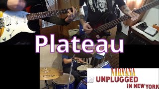 N350 Plateau – Unplugged – Violão Baixo Bateria Cover  Como tocar  How to play – Guitar Bass Drum [upl. by Reham188]