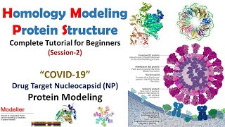 Homology Modeling for Beginners  COVID19 NP Protein Modeling Session2  Bioinformatics [upl. by Sucramed]