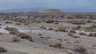 flash flood Littlerock CA [upl. by Melena]