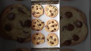 The Best Chocolate Chip Cookie Recipe Ever [upl. by Salahcin]