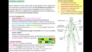 IL SISTEMA LINFATICO riassunto semplice [upl. by Marou20]