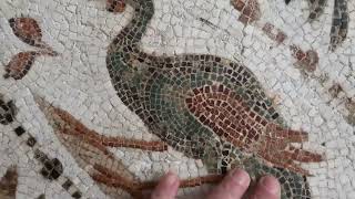 Roman Mosaics in El Jem Tunisia [upl. by Enyrat906]