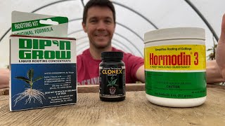 Whats My Favorite Rooting Hormone for Propagating Plants [upl. by Shaylynn]