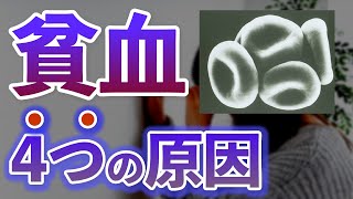 【内科医が解説】貧血の病態と治療 [upl. by Hayimas318]