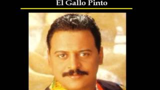 EL GALLO PINTO  WILFRIDO VARGAS [upl. by Namilus]