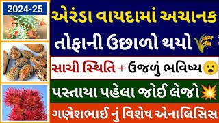 એરંડા વાયદામાં અચાનક તોફાની ઉછાળો થયો l Arenda na bhav l castor seeds l commodity trade [upl. by Lielos95]