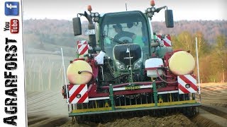 🥔 Kartoffeln Legen 2019 🥔 FENDT 700 VARIO mit ALLinONE [upl. by O'Neil]