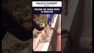 Utilization of the siphon Effect in Irrigation civilngineer holisticacademy shorts [upl. by Aydan996]